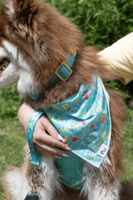 Seaside Sips Dog Bandana and Keychain Set (Pack Of: 1, size: S/M - 18In X 10In)