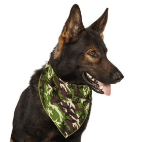 Pink Camo Bandana (Pack Of: 1, Color: Green)
