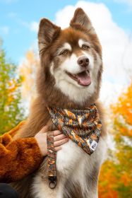 Autumn Foxes Dog Bandana and Keychain Set (Pack Of: 1, size: M/L - 27In X 13In)